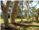Budgewoi NSW 2262