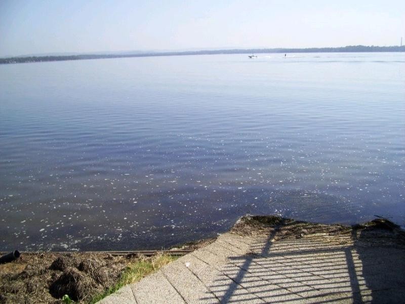 2/186 Main Road, Toukley NSW 2263