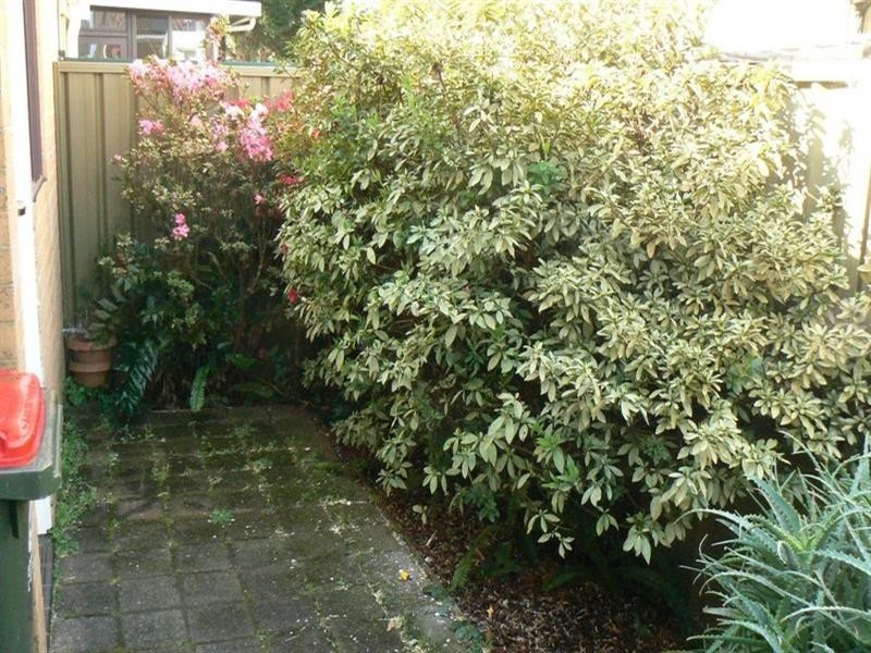 2/42 Natuna Avenue, Budgewoi NSW 2262