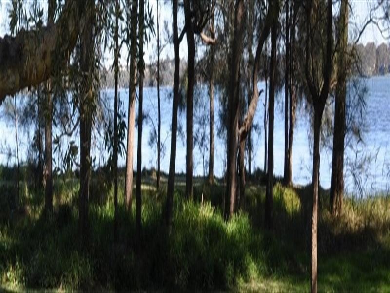 Buff Point NSW 2262