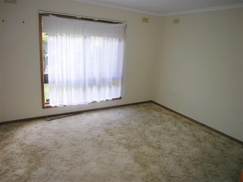 191 Scenic Drive, Budgewoi NSW 2262