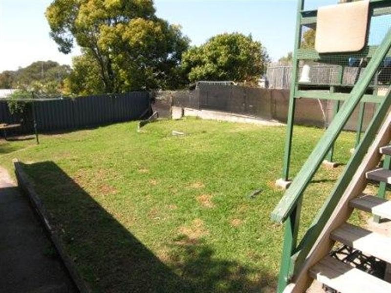 45 Woolana Avenue, Budgewoi NSW 2262