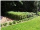 Brinsmead QLD 4870