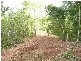 Brinsmead QLD 4870