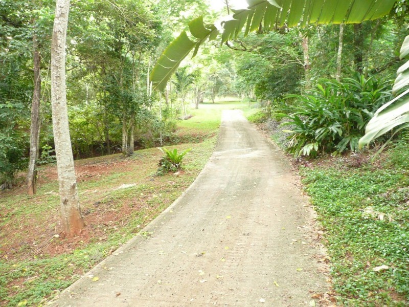 Brinsmead QLD 4870