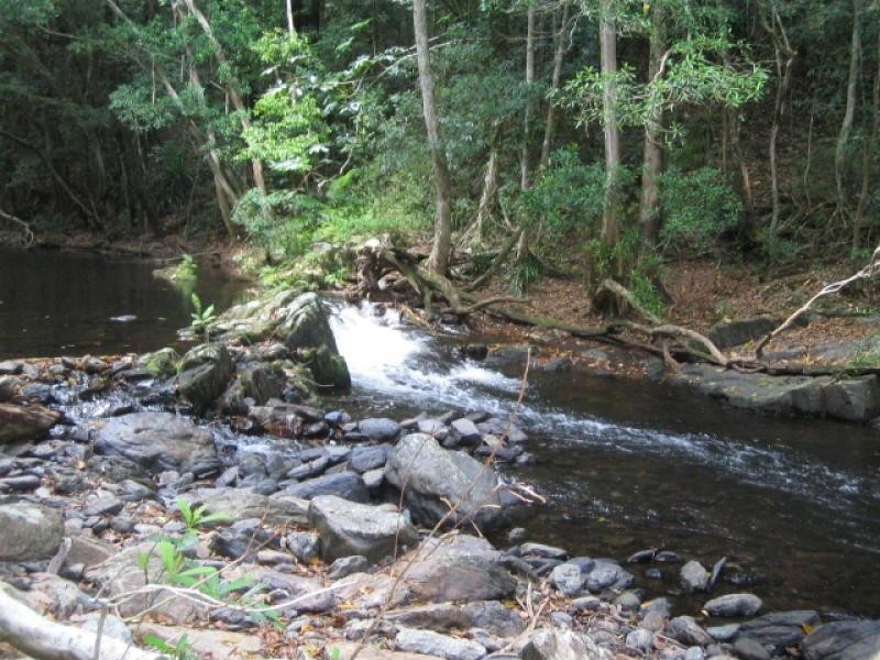 36 Huntley Crescent, Redlynch QLD 4870