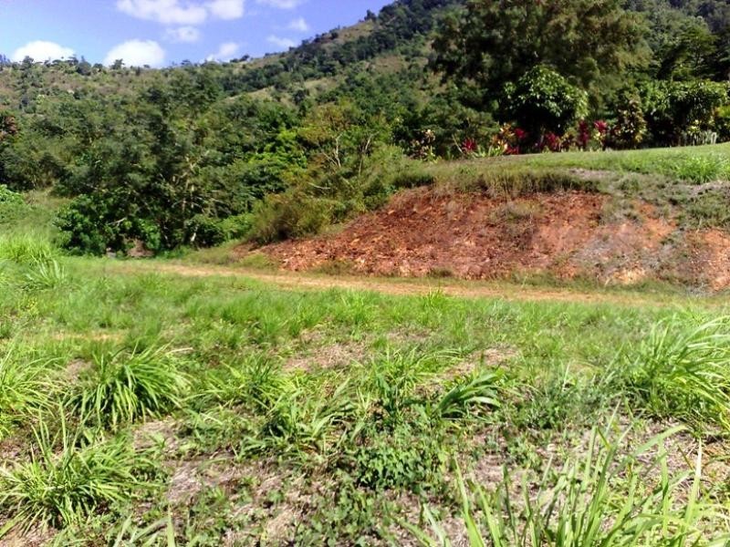 25 Chirio Drive, Redlynch QLD 4870