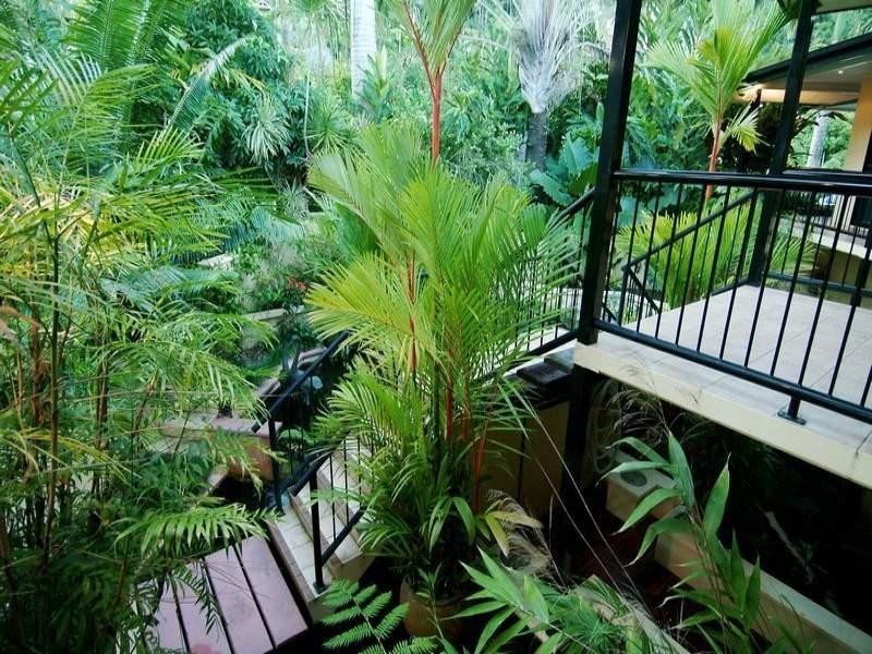 10 Rhapis Court, Whitfield QLD 4870