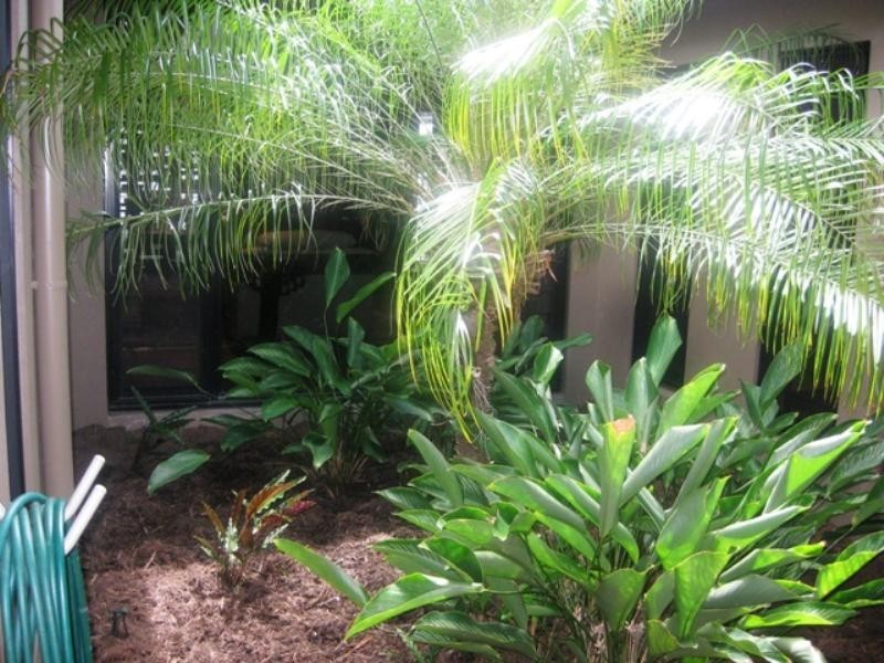 4 Pambula Close, Kewarra Beach QLD 4879
