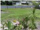 2 Pomona Close, Mooroobool QLD 4870