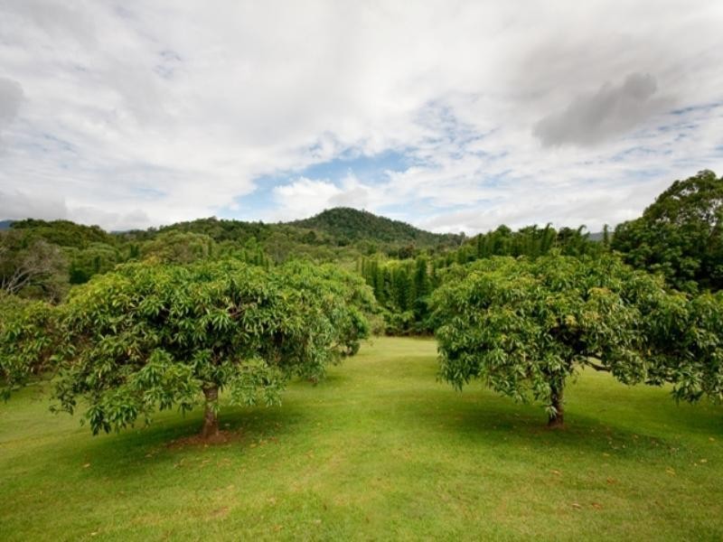 143 Veivers Drive, Kuranda QLD 4881