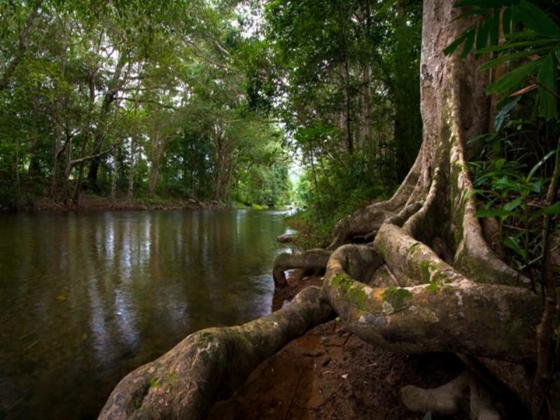 5 Crystal Close, Redlynch QLD 4870