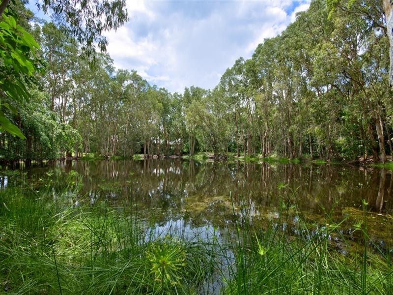 12 Brolga Street, Kewarra Beach QLD 4879