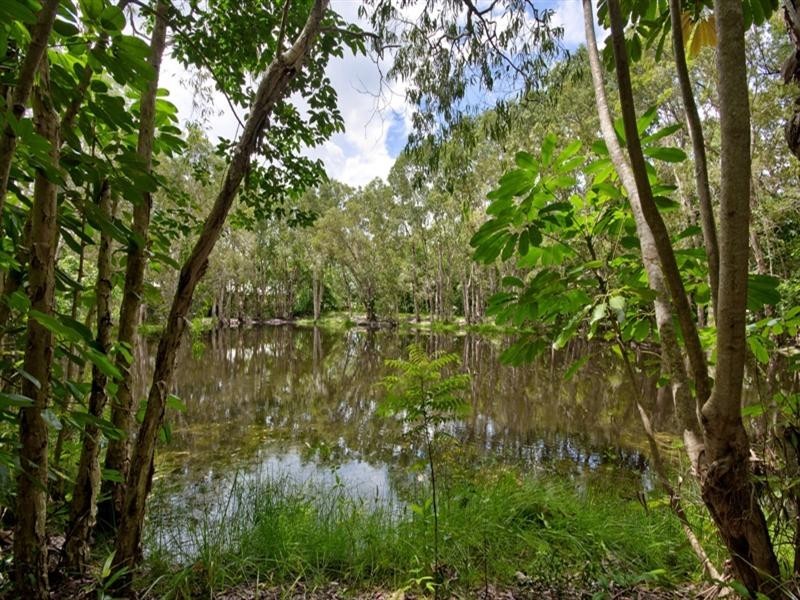 12 Brolga Street, Kewarra Beach QLD 4879