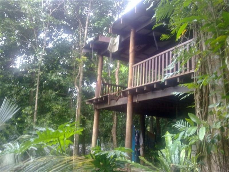 6 Euodia Close, Kamerunga QLD 4870