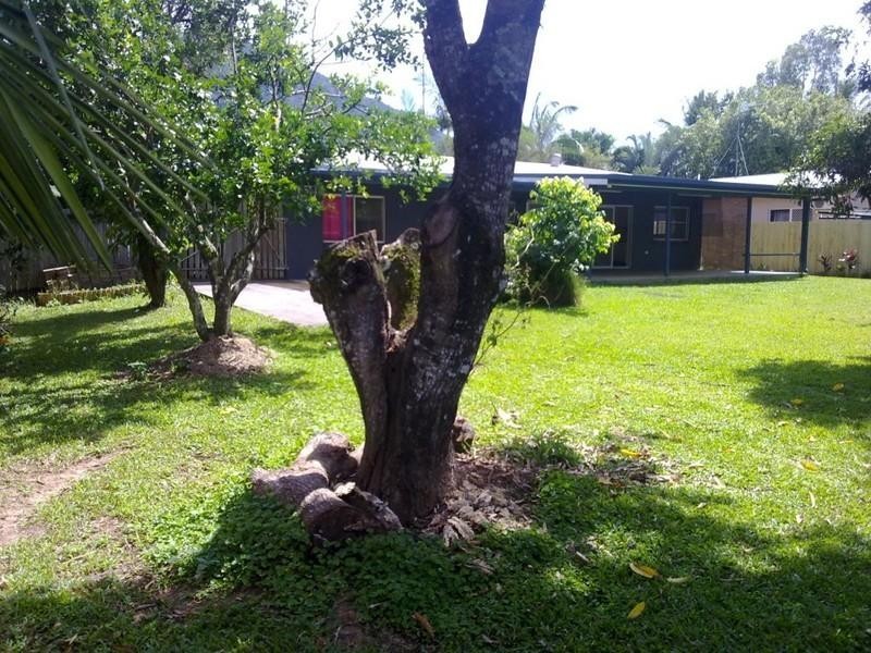 16 Lomatia Street, Redlynch QLD 4870