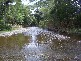 Mowbray QLD 4877