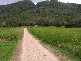 Mowbray QLD 4877