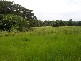 Mowbray QLD 4877