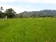 Mowbray QLD 4877