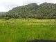 Mowbray QLD 4877