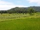 Mowbray QLD 4877