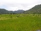 Mowbray QLD 4877