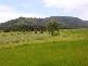 Mowbray QLD 4877