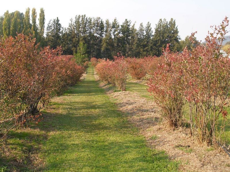 219 Lower River Road West, Gapsted VIC 3737