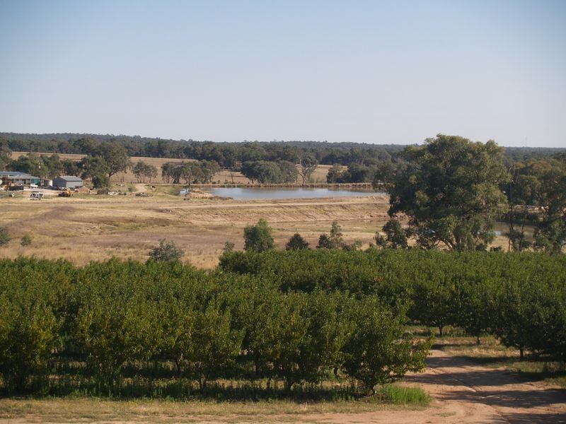 191 Warby Tower Road, Killawarra VIC 3678