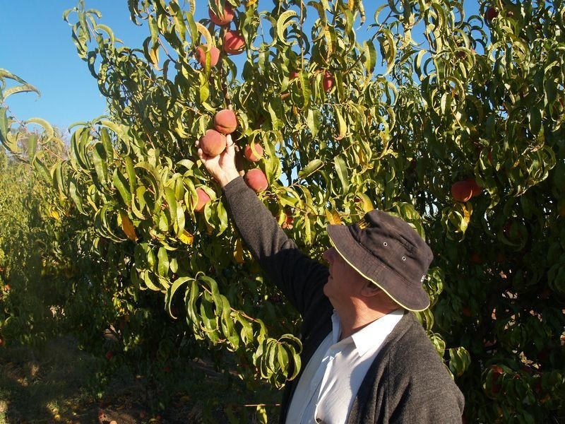 191 Warby Tower Road, Killawarra VIC 3678