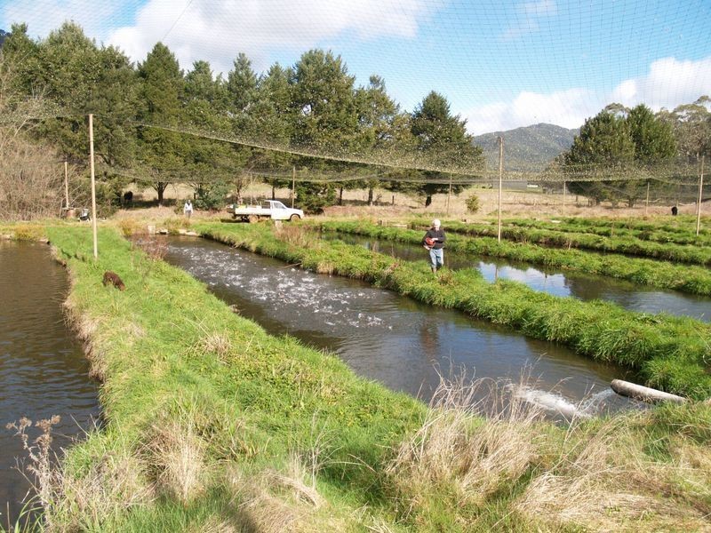 10 Stoney Creek Road, Harrietville VIC 3741