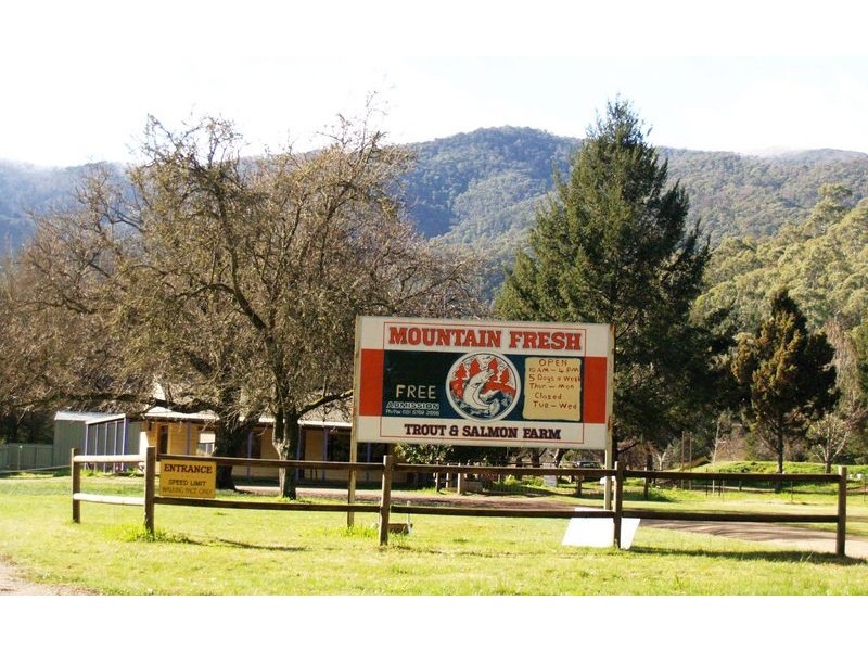 10 Stoney Creek Road, Harrietville VIC 3741