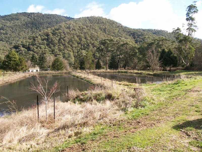 10 Stoney Creek Road, Harrietville VIC 3741