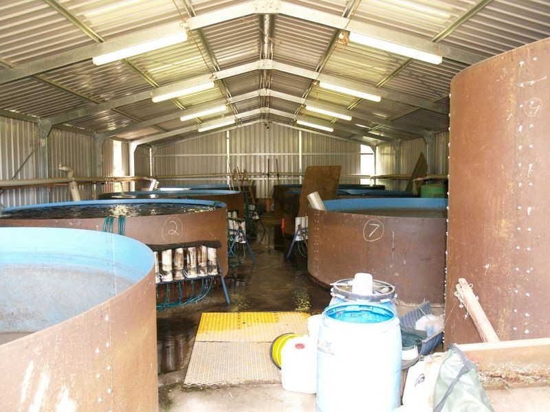 10 Stoney Creek Road, Harrietville VIC 3741