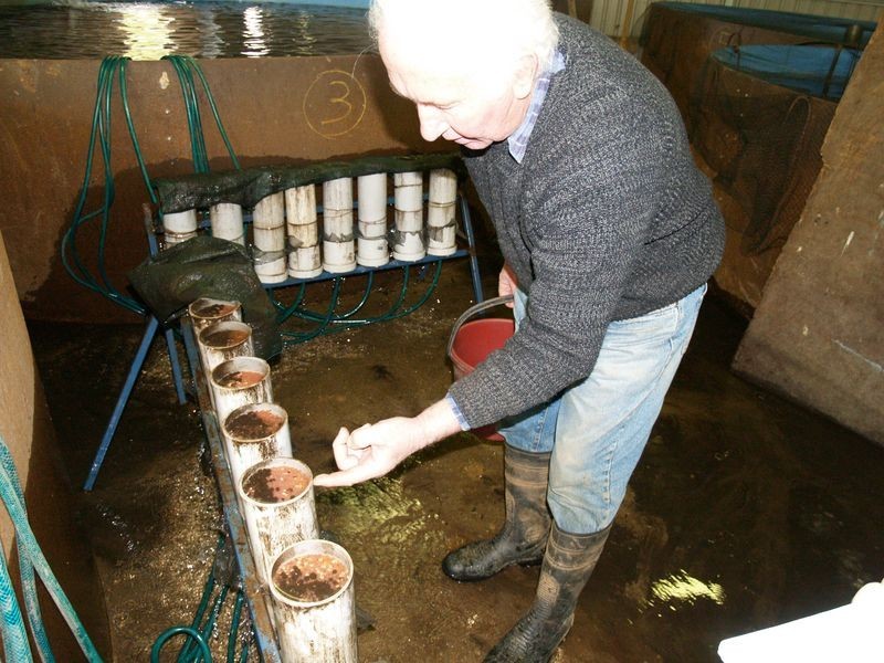 10 Stoney Creek Road, Harrietville VIC 3741