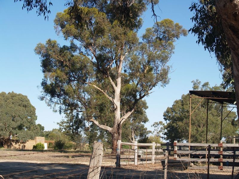 Lot 2, 718 Reith Road, Wangaratta VIC 3677