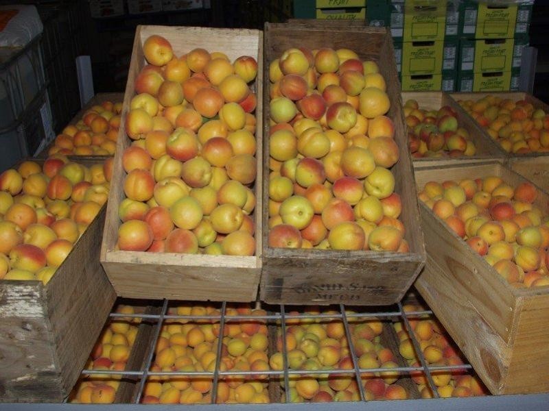 203 Long Lake Road, Lake Boga VIC 3584