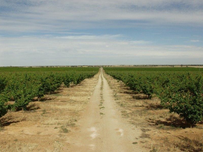 203 Long Lake Road, Lake Boga VIC 3584