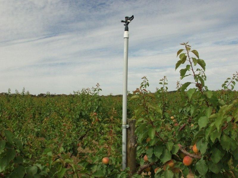 203 Long Lake Road, Lake Boga VIC 3584