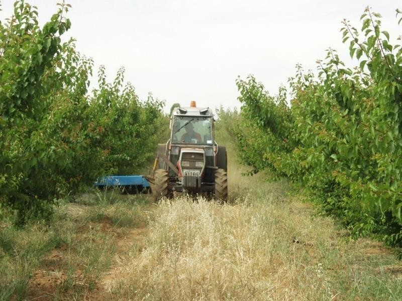 203 Long Lake Road, Lake Boga VIC 3584