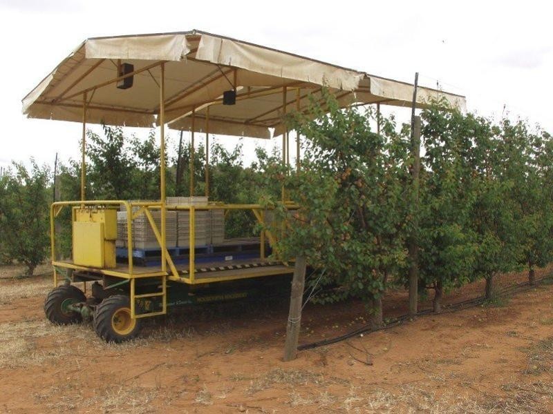 203 Long Lake Road, Lake Boga VIC 3584