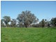 Lot 2 575 Milawa – Bobinawarrah Road, Milawa VIC 3678