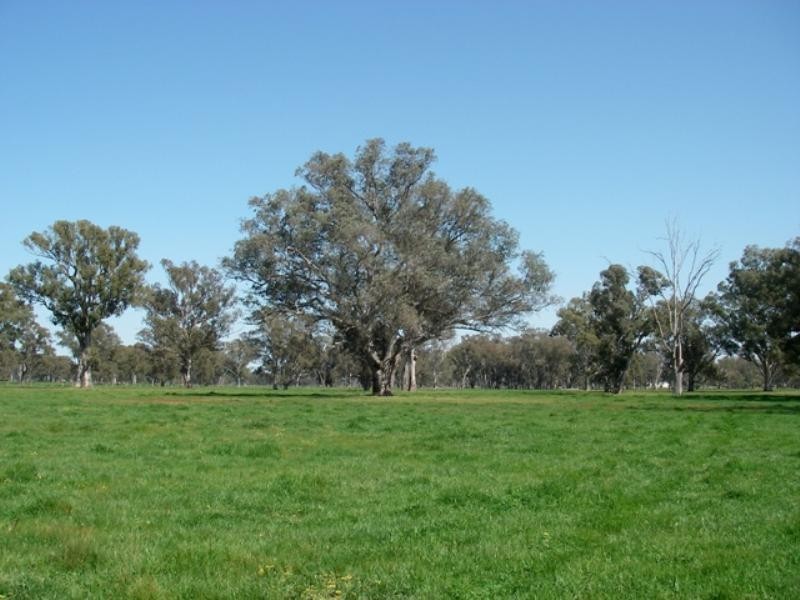 Lot 2 575 Milawa – Bobinawarrah Road, Milawa VIC 3678