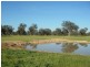 Lot 2 575 Milawa – Bobinawarrah Road, Milawa VIC 3678