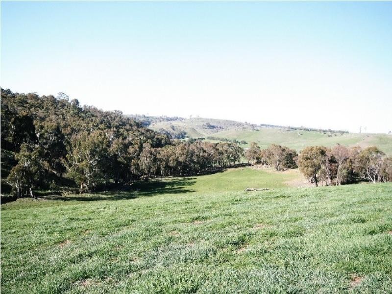 Mount David NSW 2795