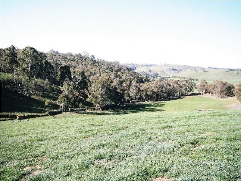 Mount David NSW 2795