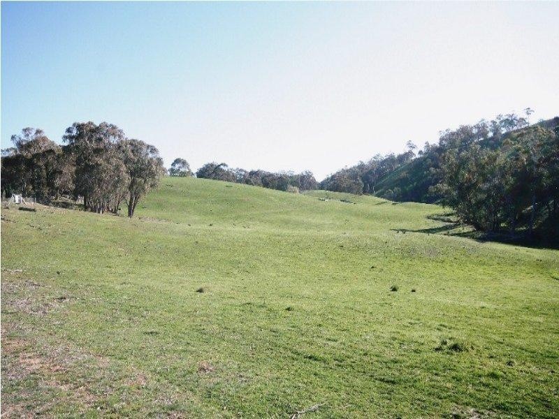 Mount David NSW 2795