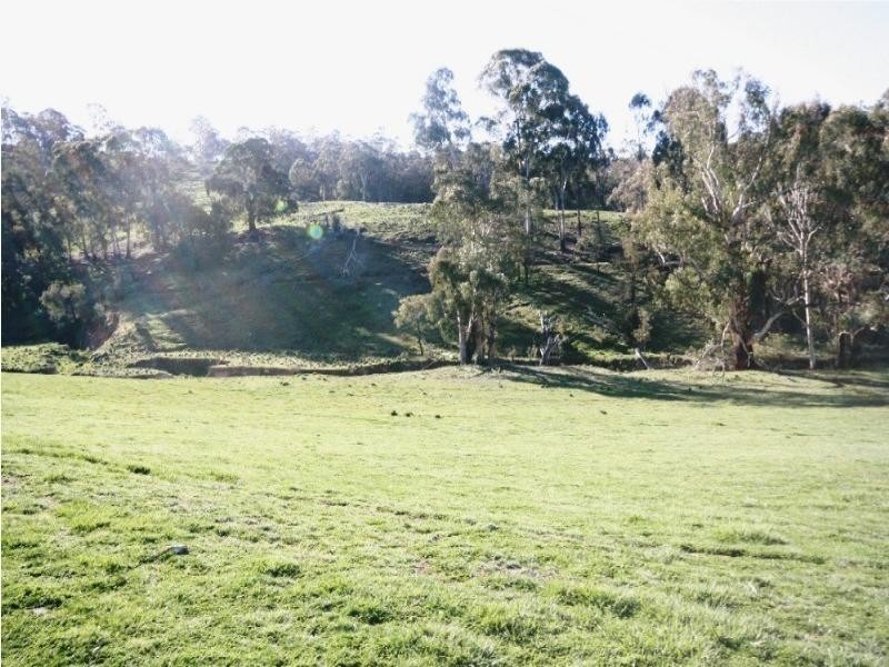 Mount David NSW 2795