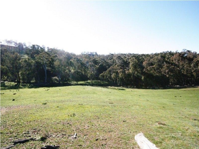 Mount David NSW 2795